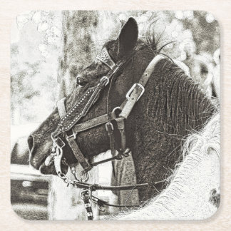 Horse stylised black and white graphic art photo  square paper coaster