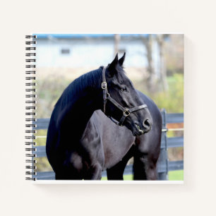 Horse & Sunrise at the lake Notebook