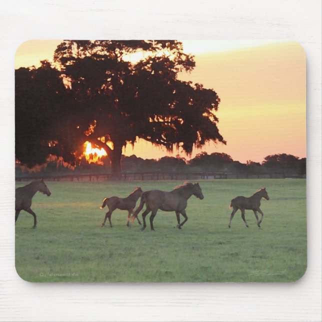 Horse Sunset Art Mousepad (Front)