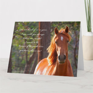 Horse Sympathy Card