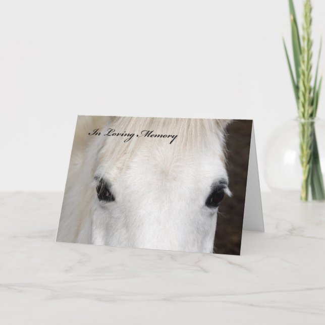 Horse Sympathy Card (Front)