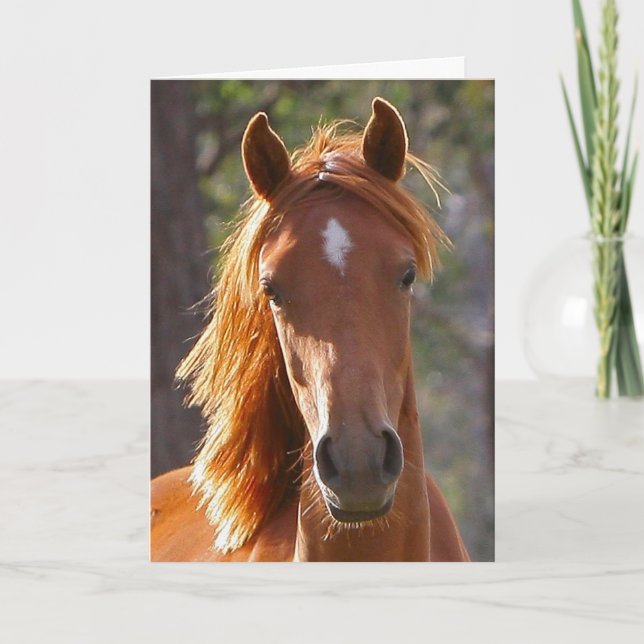 Horse Sympathy Card (Front)