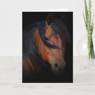 Horse Sympathy Card for Loss of Horse