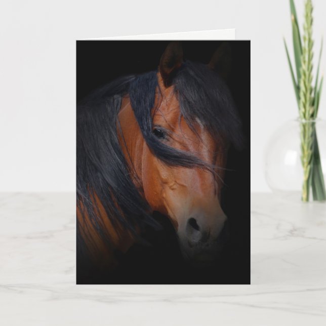 Horse Sympathy Card for Loss of Horse (Front)