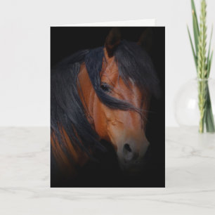 Horse Sympathy Card for Loss of Horse