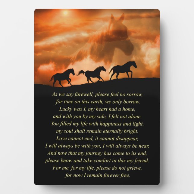 Horse Sympathy Memorial with Spiritual Poem Plaque (Front)