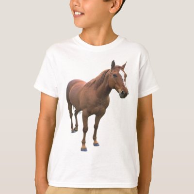 Horse T-Shirts & Shirt Designs | Zazzle.com.au