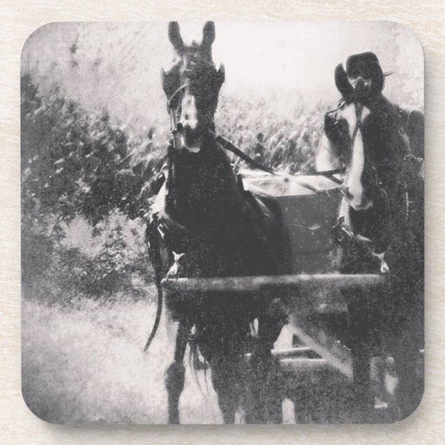 Horse Team #horse #amish Coaster (Front)