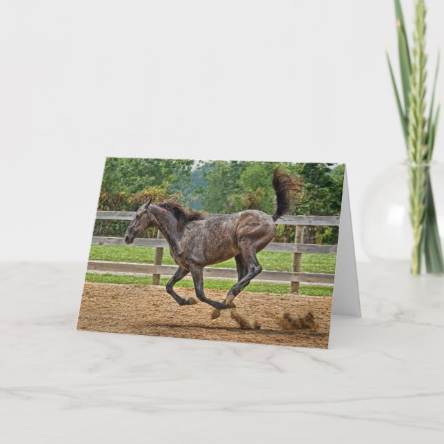 Horse Tennessee Walker Filly Card (Front)