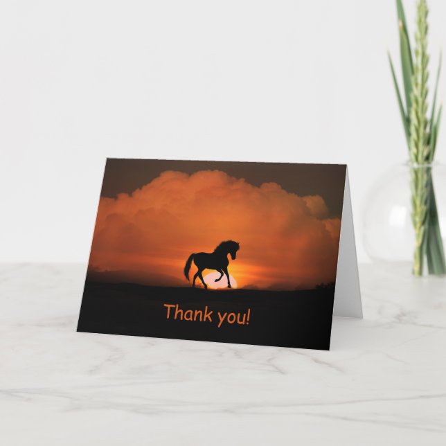 Horse Thank You Card Blank Inside (Front)