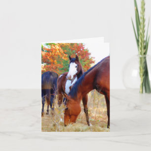 Horse Thank You Note Cards