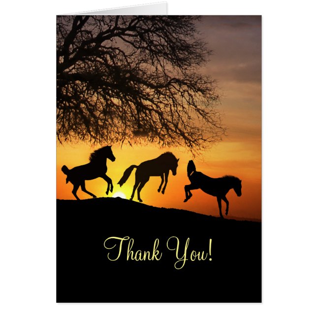 Horse Thank You You Made My Day Cards (Front)