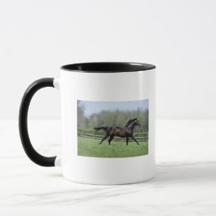Horse Thoroughbreds, Wassl 1988, Mug