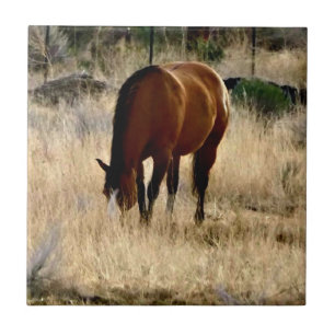 Horse Tile