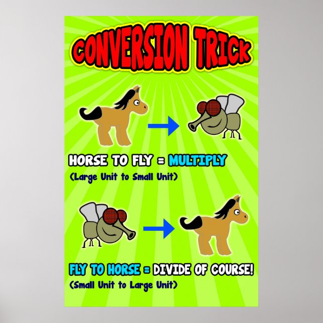Horse to Fly = Poster/Anchor Chart for Students (Front)
