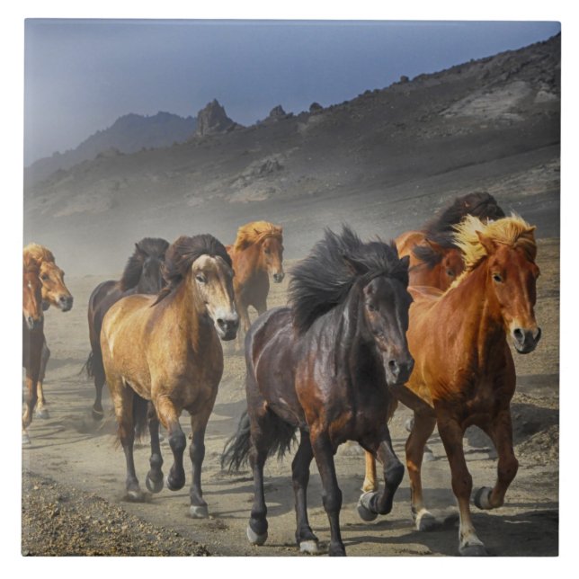 horse trail tile (Front)