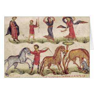 Horse Trainers
