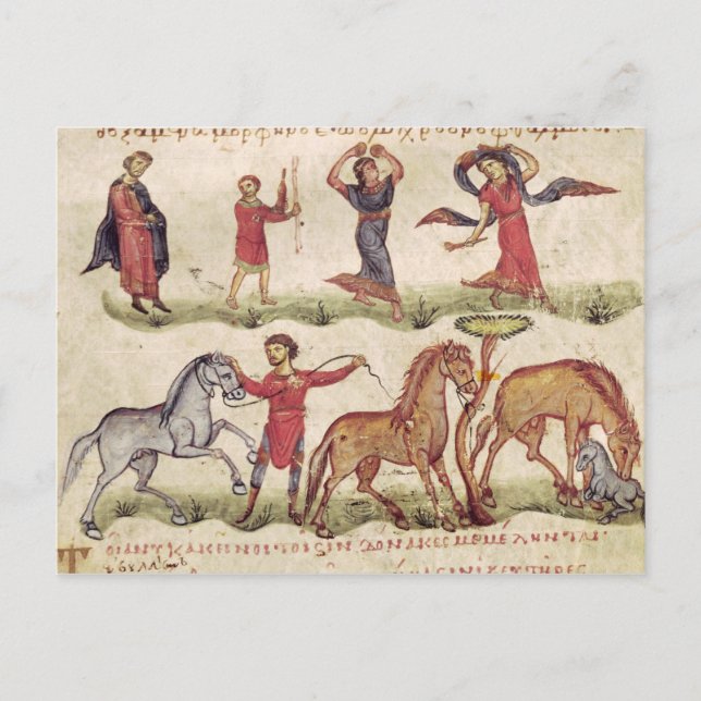 Horse Trainers Postcard (Front)