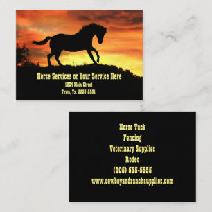 Horse Training Supplies Service Lessons Business Card