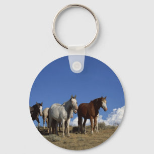 Horse Trio Key Ring