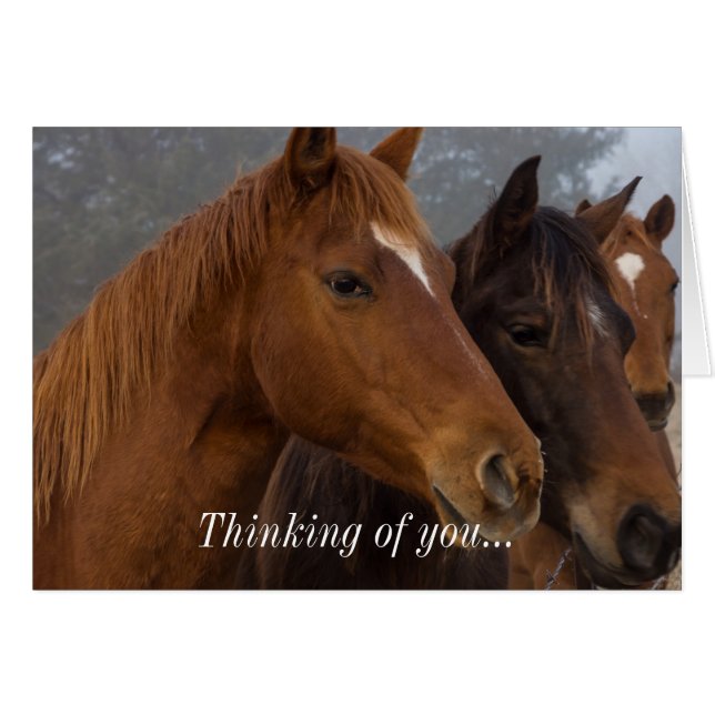 Horse Triplets Thinking Of You Card (Front Horizontal)