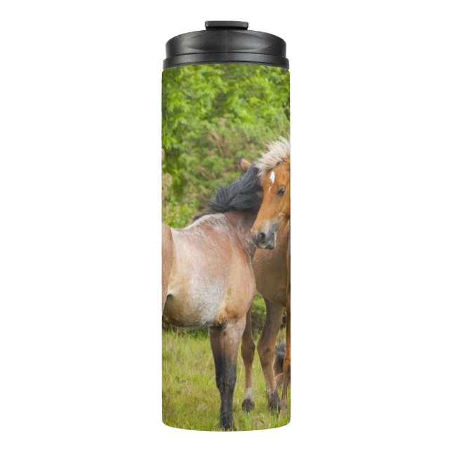Horse tumbler (Front)