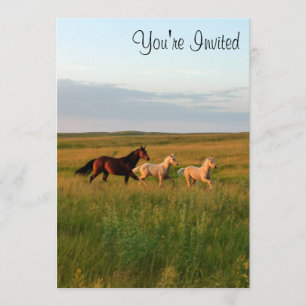 Horse Twins Mare and Foals Horse Babies Invitation