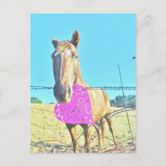 Horse Valentine  Pink and  turquoise Holiday Postcard