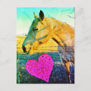 Horse valentine vintage reto postcard