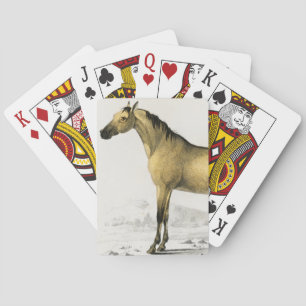 Horse vintage illustrated playing cards