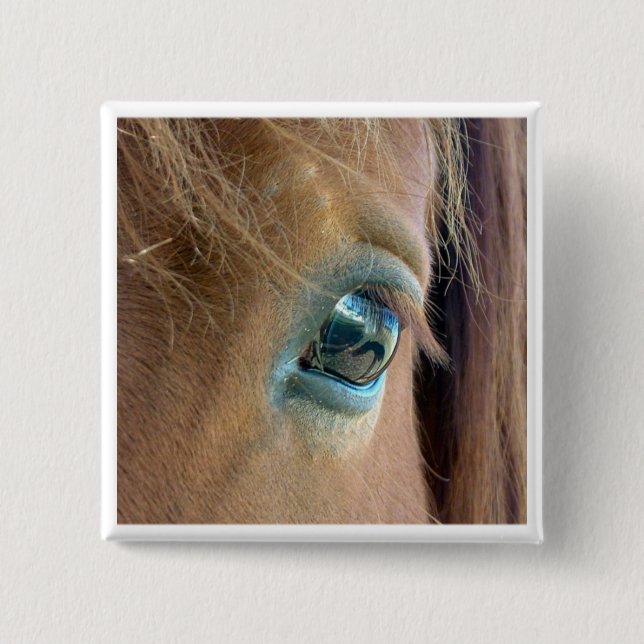 Horse Vision 15 Cm Square Badge (Front)