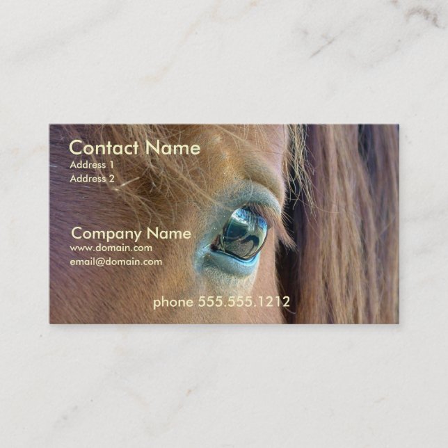 Horse Vision Business Card (Front)