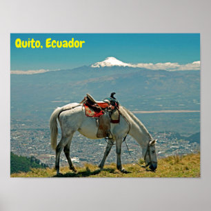 Horse & volcano, Quito, Ecuador Poster