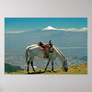 Horse & volcano, Quito, Ecuador Poster