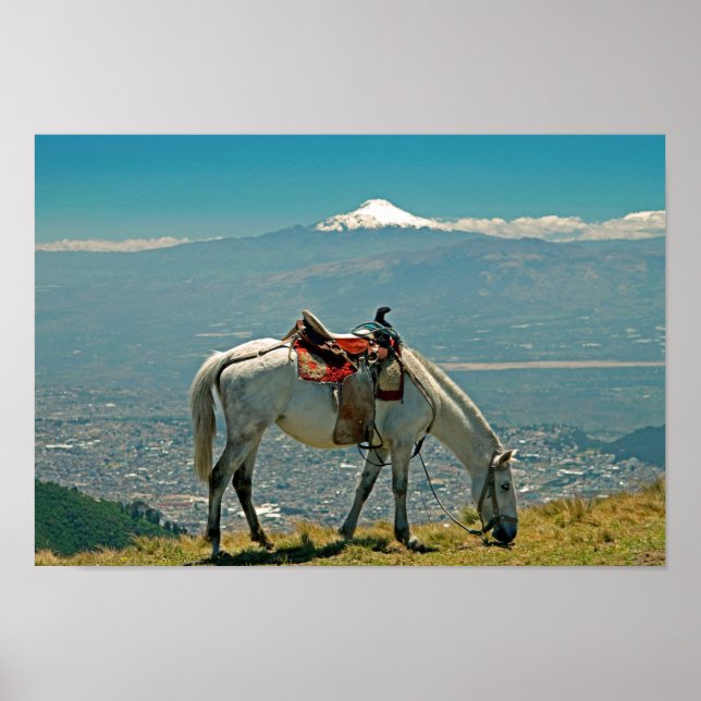 Horse & volcano, Quito, Ecuador Poster (Front)