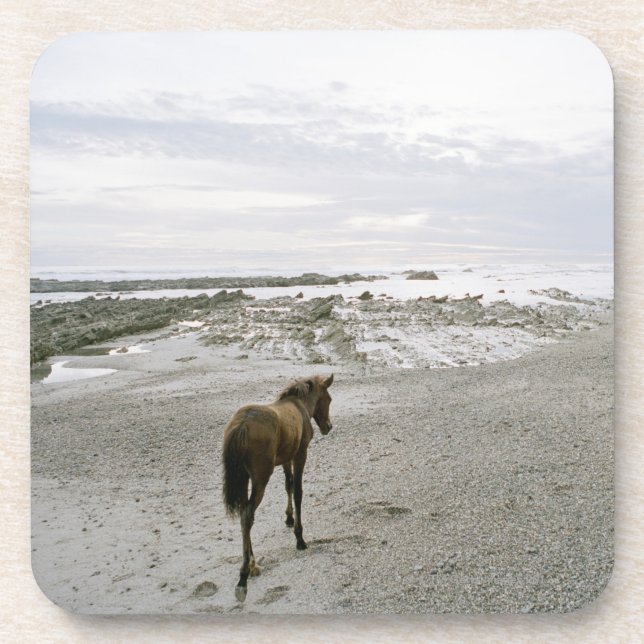 Horse walking on the beach coaster (Front)