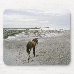 Horse walking on the beach mouse pad