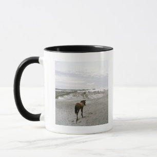 Horse walking on the beach mug