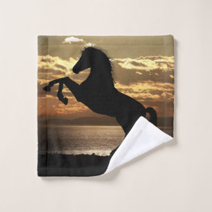 horse wash cloth
