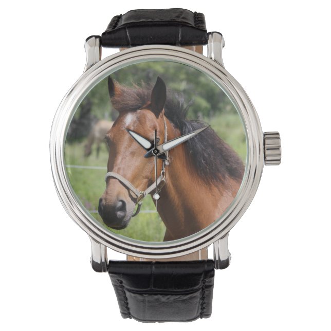 Horse Watch (Front)
