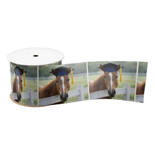 Horse Wearing a Graduate Cap Satin Ribbon