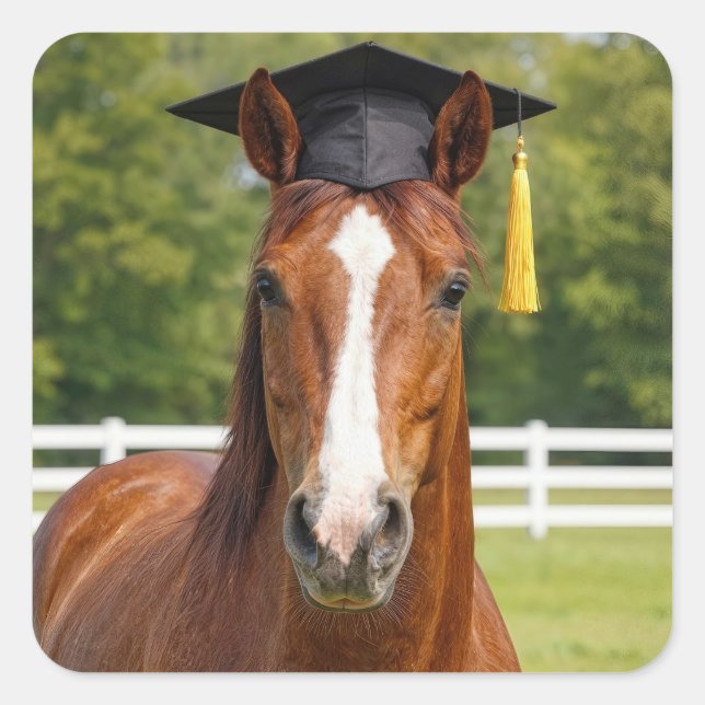 Horse Wearing a Graduation Cap Square Sticker (Front)