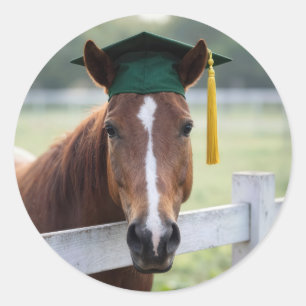Horse Wearing a Green Graduation Cap Classic Round Sticker