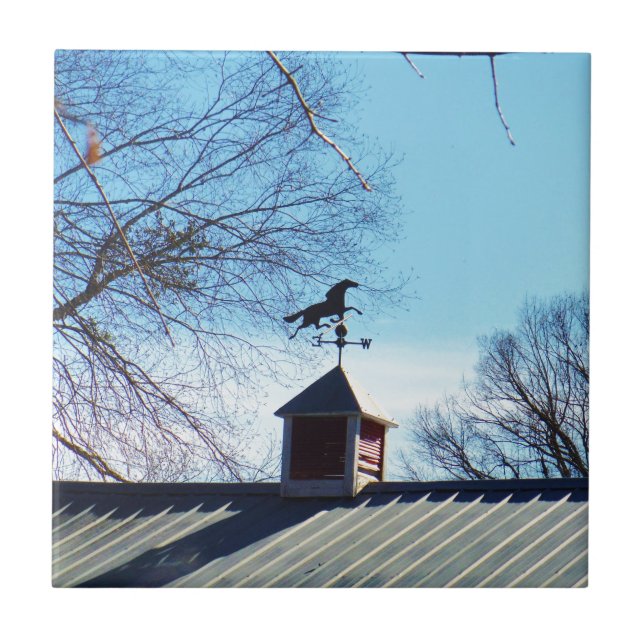 Horse Weather Vane Blue Sky Ceramic Tile (Front)