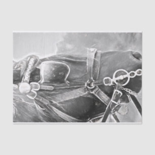 Horse Western Rustic Black And White Vintage Art Tissue Paper