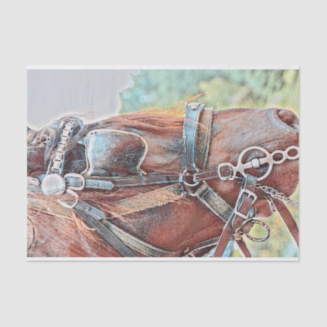 Horse Western Rustic Country Decoupage Tissue Paper (Front)