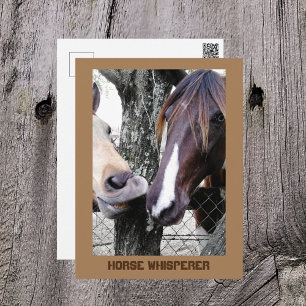 Horse Whisperer Two Horses Funny Photographic Postcard