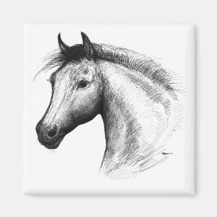 Horse:  White Magnet