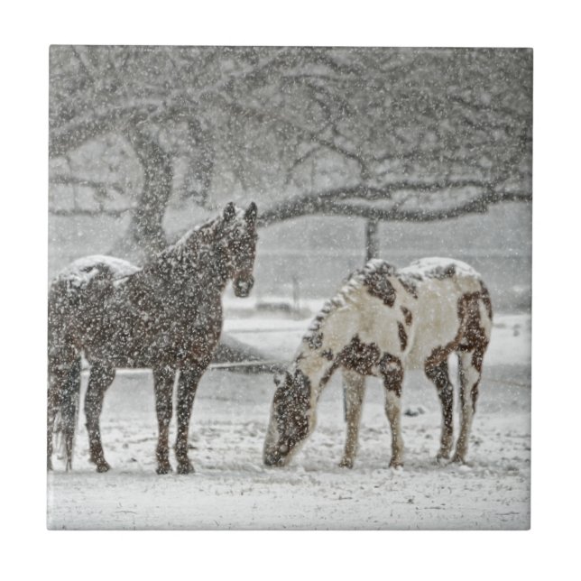 horse winter snow farm ranch animals snowy frozen ceramic tile (Front)