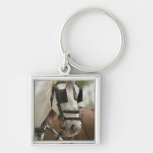Horse with blinders key ring